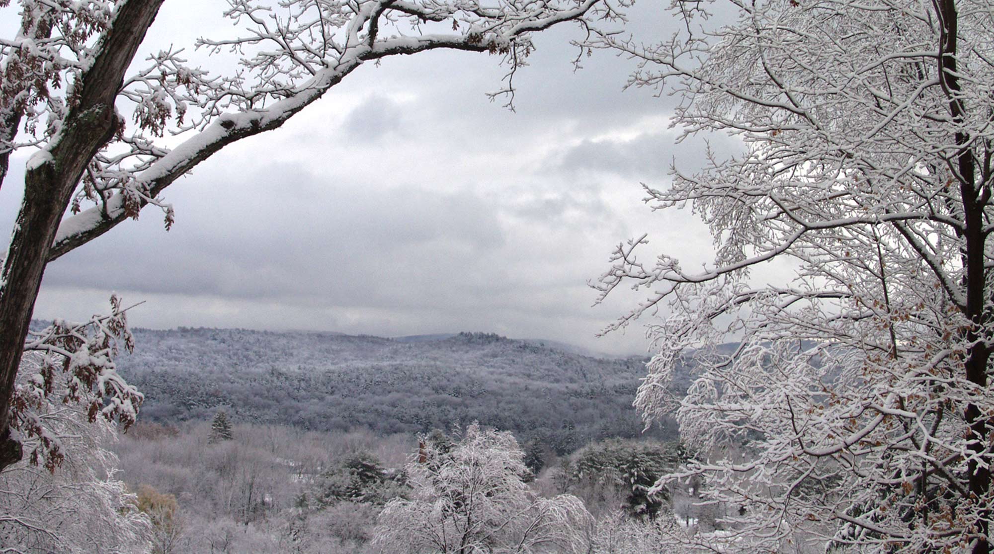 Winter in Sharon, CT